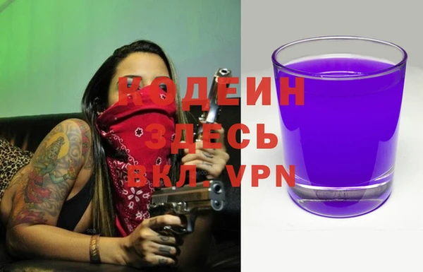spice Сясьстрой