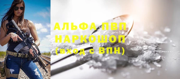 spice Сясьстрой