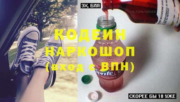 spice Сясьстрой