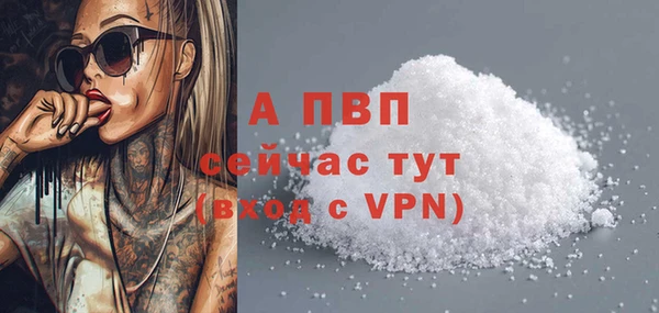spice Сясьстрой