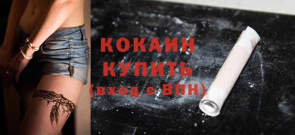 spice Сясьстрой