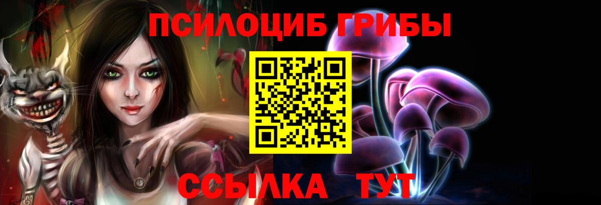 Псилоцибиновые грибы Psilocybe  Владивосток 