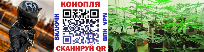 МЕГА ссылки  Владивосток  Шишки марихуана Amnesia  магазин продажи наркотиков 